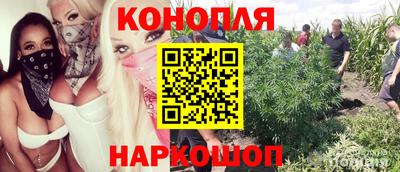 молекула духа Малгобек