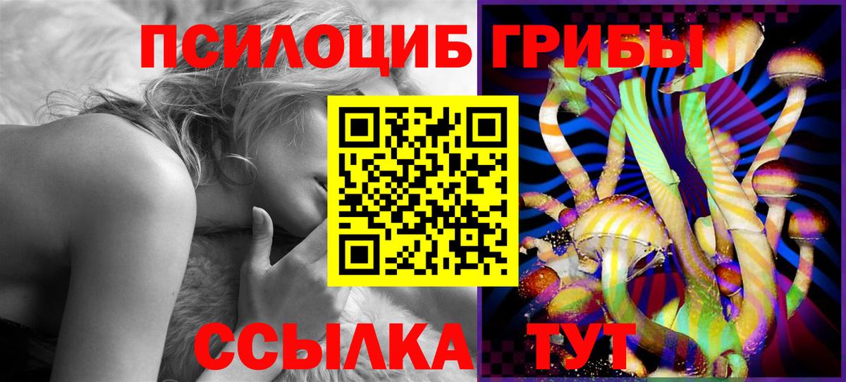 Галлюциногенные грибы Psilocybine cubensis  Вход с VPN  Псилоцибиновые грибы GOLDEN TEACHER  Топки 
